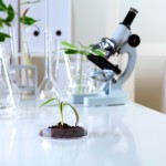 Kozzi-green-plants-in-biology-laborotary-2387 X 1591